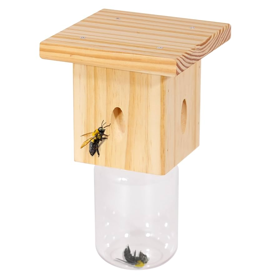 Carpenter Bee Traps