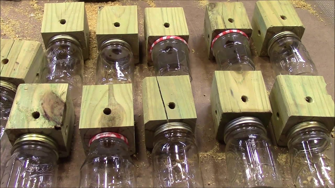 Carpenter Bee Traps